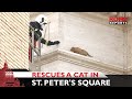 Vatican firefighters #rescue a cat from the colonnade around St. Peter&#39;s Square