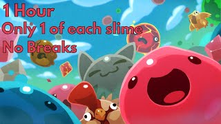 Getting as much money as I can in SLIME RANCHER in 1 hour but I can only farm one of each slime