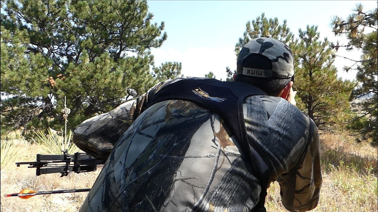 CHASING MULE DEER deer hunting games
