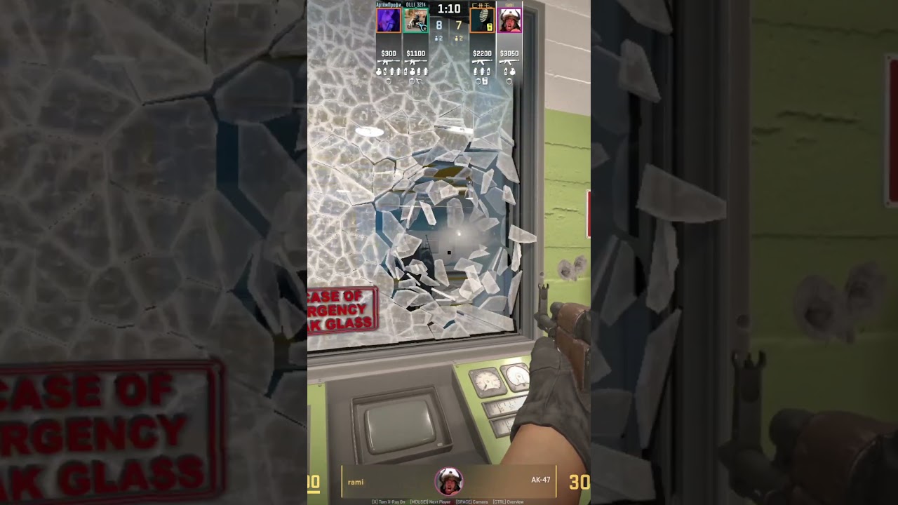 CS2 NEW FUNNY GLITCHES AFTER UPDATE (8.1.2025) 