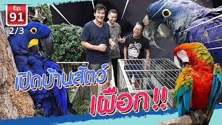 เปิดบ้านสัตว์เผือก - เพื่อนรักสัตว์เอ้ย EP.91 [2/3]