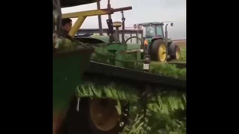 Celery machine