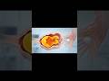 What happens in your ovaries after ovulation?