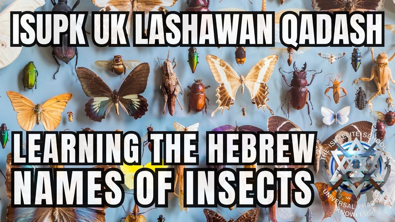 ISUPK UK Lashawan Qadash - Learning The Hebrew Names of Insects