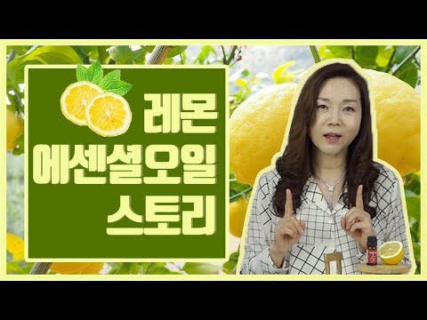 [아로마tv] 레몬 에센셜오일스토리