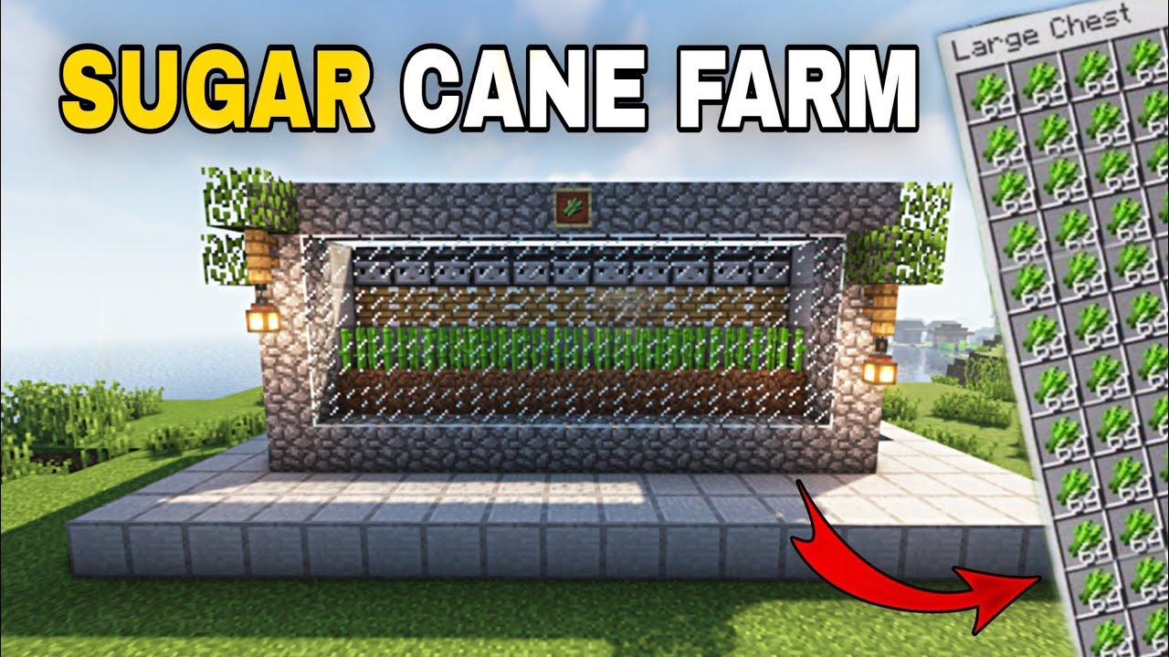 Minecraft Easy Sugar Cane Farm SugarCane Farm Java Bedrock YouTube