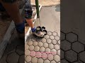 Stamping Satisfying Honeycomb Patterns Onto Freshly Poured Concrete #concrete #floor #design #how
