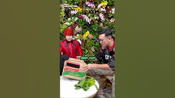 TERNYATA😯, BONGKAR TRIK MENGGANDAKAN UANG⁉️#pesulapmerah #marcelradhival #dennysumargo #podcast