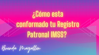 Descifra Tu Registro Patronal qu Significan Esos Nmeros En Tus Semanas Cotizadas
