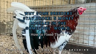 "Perché alcuni allevatori restano al verde: 5 errori finanziari nel mondo della caccia (e come ri... screenshot 2