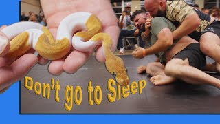 Famous Are TOO MANY genes CHOKING OUT this BALL PYTHON PROJECT?? - HUGE Ball Python Reveal Net Worth