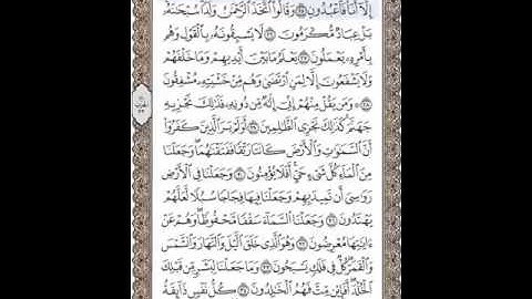 وجه 324 : سورة الأنبياء : الشيخ المنشاوي