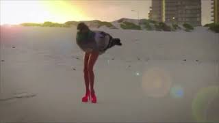 Pigeon Dancing To Mexican Music