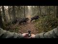 Прогулянка лісом від першого лиця кабани прямо переді мною!