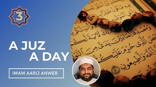 Celebrity Summary of 3rd Juz of the Quran | A Juz A Day #3 - Imam Aarij Anwer Wealth