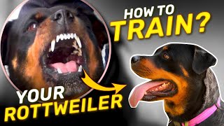 Rules for Training a Rottweiler