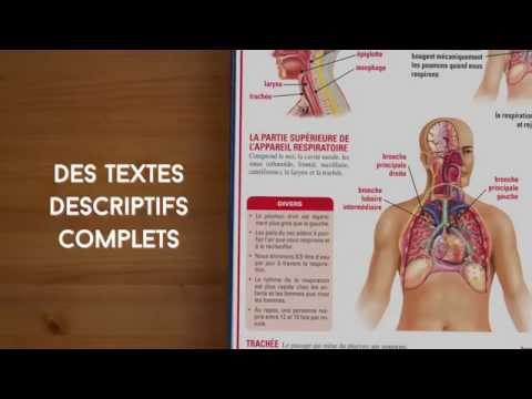 L’anatomie du corps humain