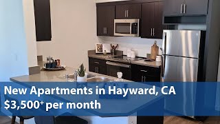 Brand New Apartments in Hayward, California | $3,500+ per month | 2 Beds | 1 Baths | 1,065 sq ft