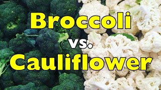 Broccoli versus bloemkool — Dezelfde plant, totaal verschillende groenten [ID0918]