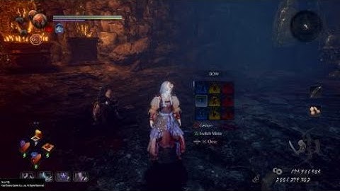 Nioh 2(Tiger Claw vs. Ren Hayabusa, Dream of Nioh)