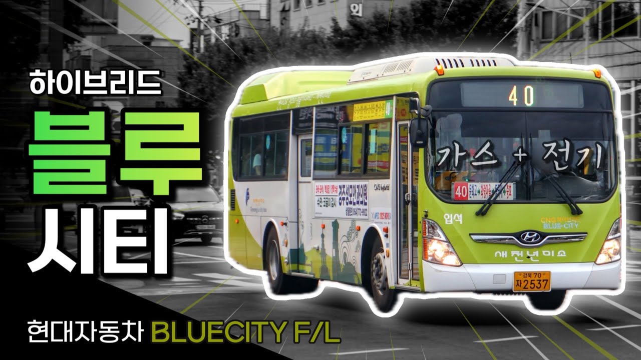 20대도 못 팔린 하이브리드 버스, 전국 딱 한 곳에서 운행 중? / 현대자동차 블루시티 F/L 고상형
