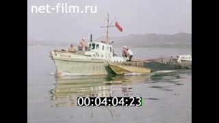1981г. село Алтайка  Зыряновский район Восточно- Казахстанская обл.