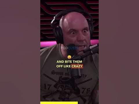 Why Chimpanzees Are So DANGEROUS!?⚠️😯🐒🦍 #joerogan #trending #jre - YouTube