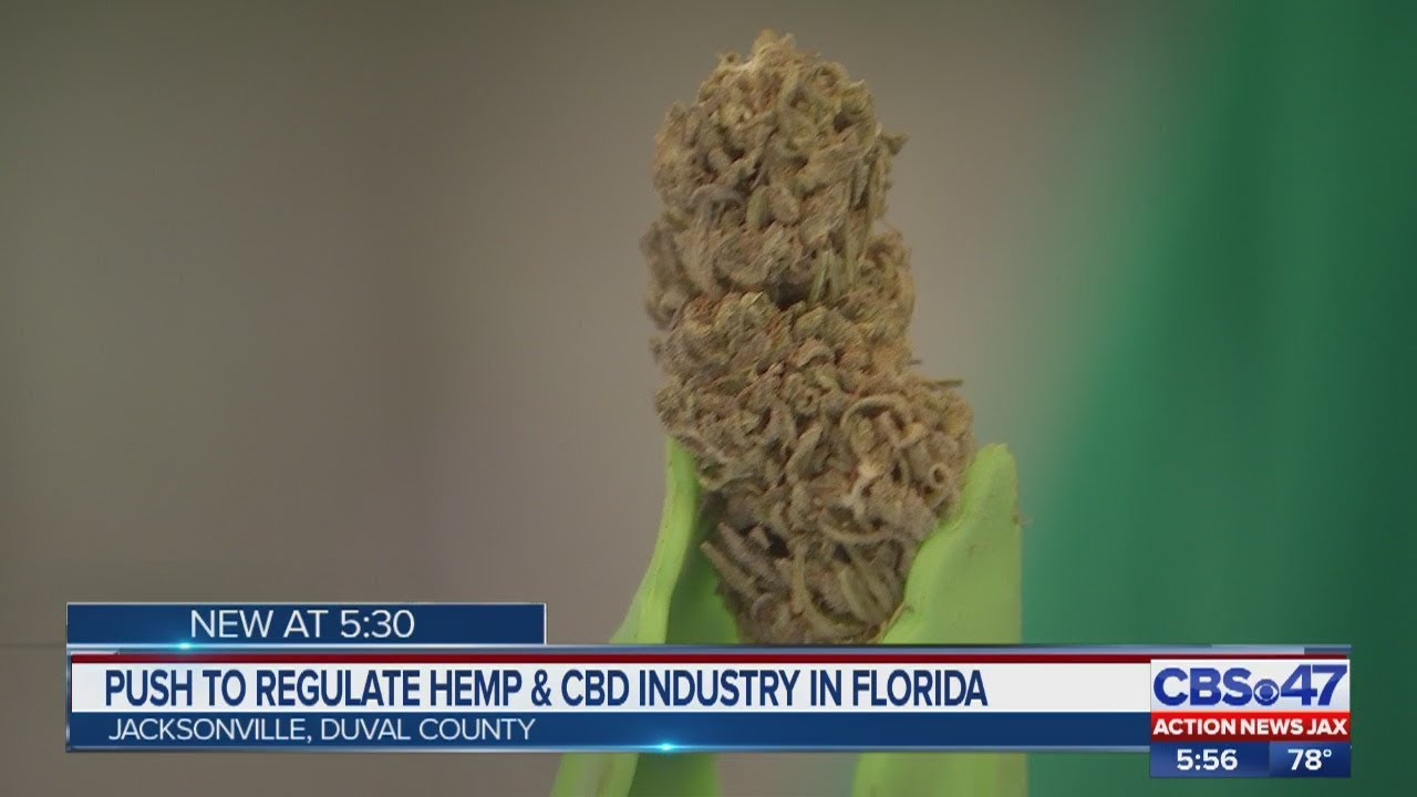 Push to regulate hemp & CBD industry in Florida