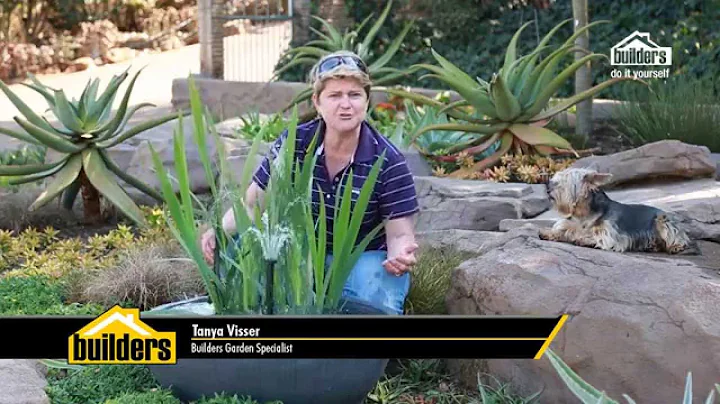 Builders DIY YouTube Series: Episode 5 (Water Feature)