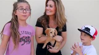 Ghetto Rescue FFoundation Adoption Day (Jaszmin K. Productions) Net Worth