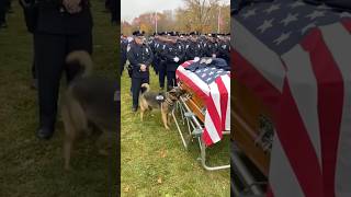 K9 Tries to Wake His Fallen Officer at Burial Ceremony 💔🐾👮‍♂️