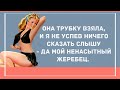 Ненасытный жеребец. Сборник Веселых Анекдотов для Настроения! Смешные анекдоты!