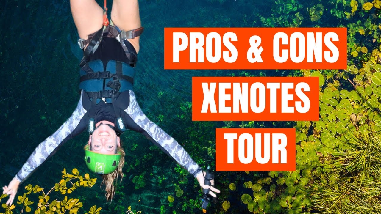 Честный обзор Xenotes: плюсы и минусы, которые следует учитывать.