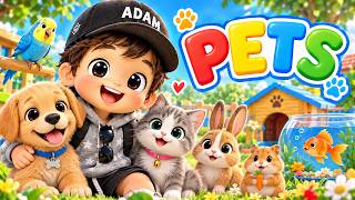 Baby Adam | The Animals Song