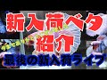 平安最後の新入荷個体紹介ライブ!!今までありがとう!