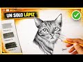 Cómo Dibujar un GATO REALISTA con Un Solo Lápiz - Dibujemos Juntos 