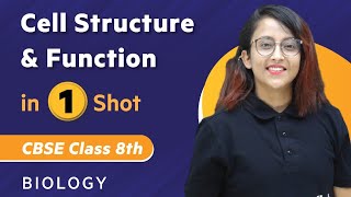 Cell Structure and Function in One Shot | Biology - Class 8th | Umang | Physics Wallah