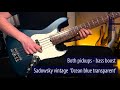Sadowsky Metro Vintage 5-21 Live Demo - BassFreaks.net