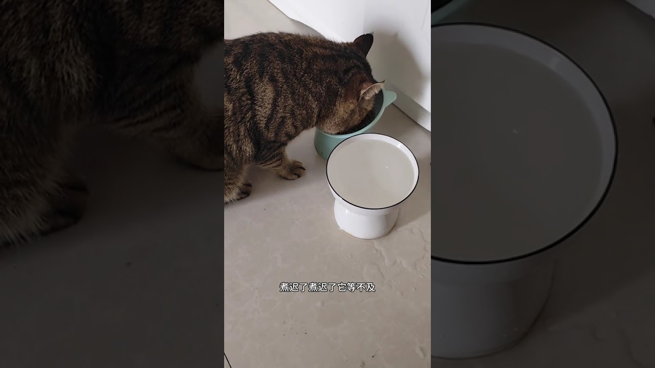 Chen Yingdou came home very early today and slept at home for several hours#The daily