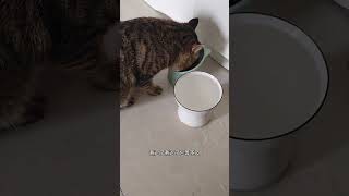 Chen Yingdou came home very early today and slept at home for several hours#The daily