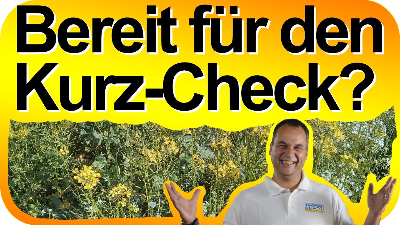 Check und wertvolle Hinweise: Deine Lebensfreude? Dein Selbstbewusstsein? Deine Motivation? Nutze… episode artwork