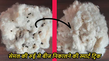 Smart trick to separate seeds from Silk cotton