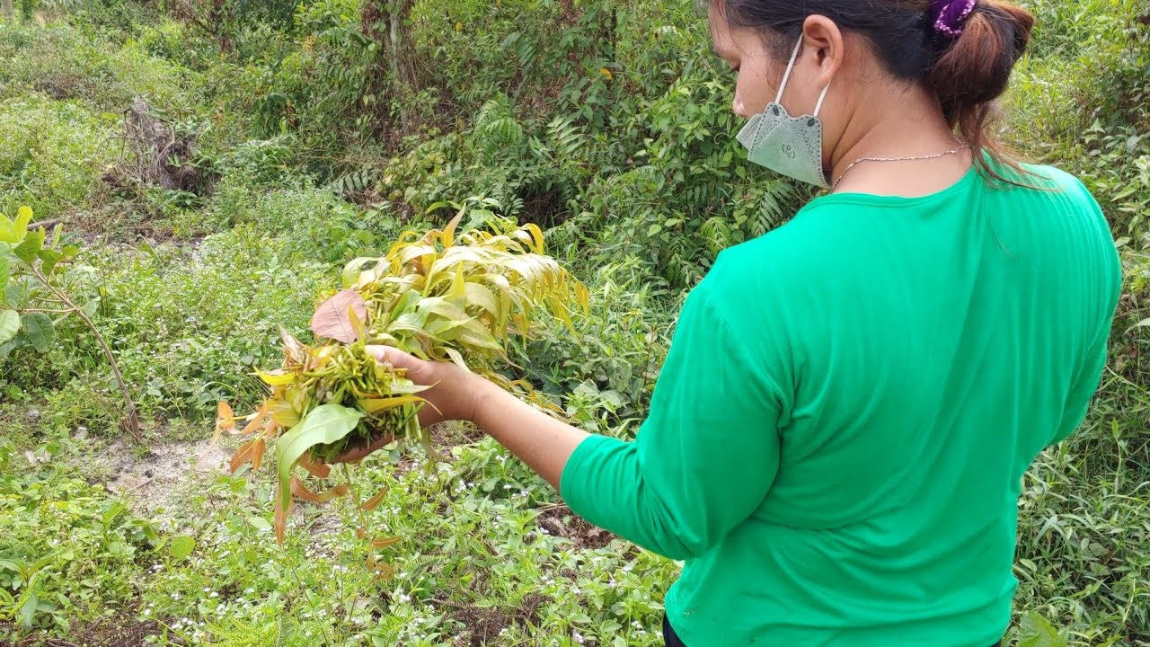 Tlơi adoh ñik yal jrai - hơning yan phang pĕ toñ | SIU LAN