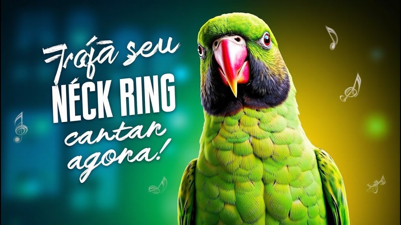 CANTO DO RING NECK  – Como Estimular Filhotes e Adultos a Cantar!