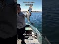 Pesca en el nihuil