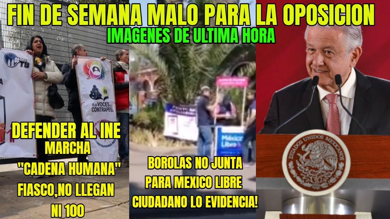 MARCHA PARA DEFENDER A INE FIASCO TOTALCIUDADANO EVIDENCIA A BOROLAS