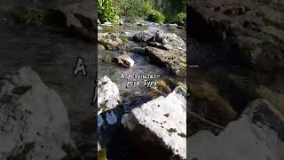 Журчащие протоки Каракольских озёр