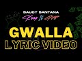 Miniature de la vidéo de la chanson Gwalla