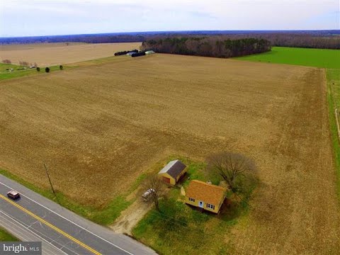 17204 HARBESON RD, Milton, DE home video tour