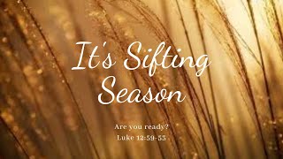 SIFTING SEASON!!